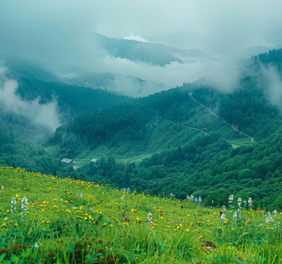 Paisaje montañoso verde y brumoso con flores silvestres y senderos sinuosos.
