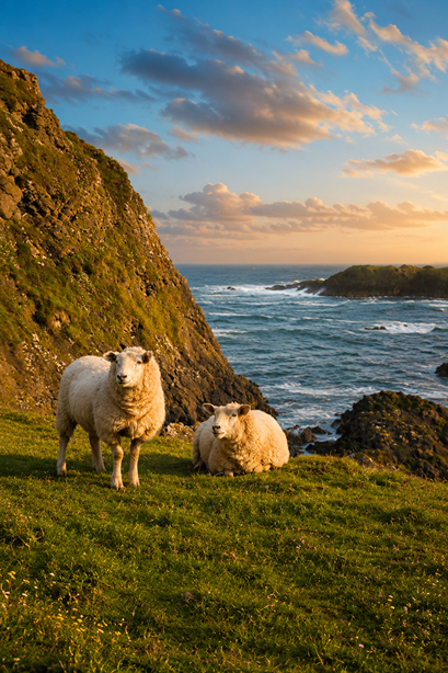 ballintoy harbour atlantic coast northern ireland