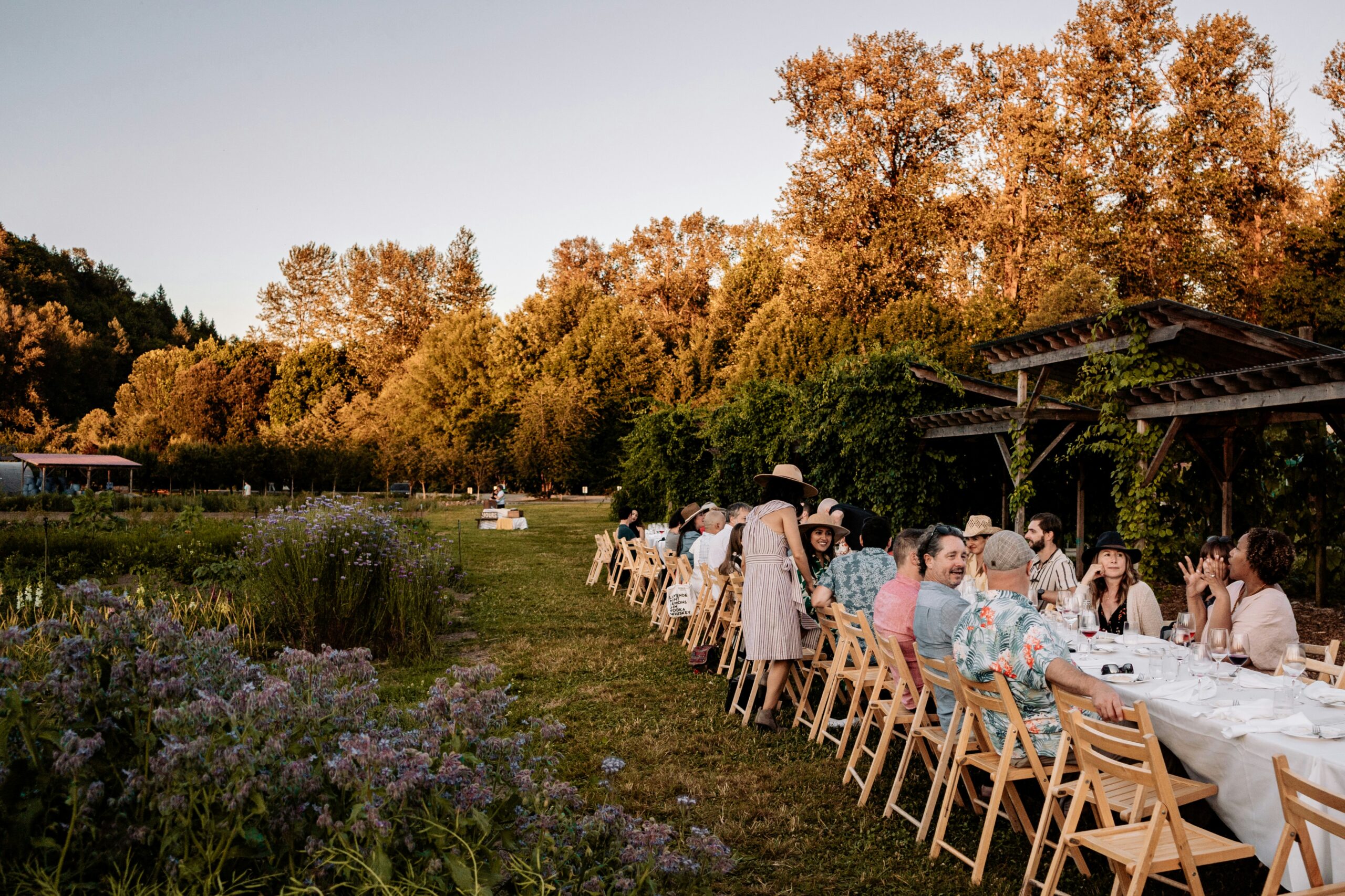 Long outdoor dining table set for a group farm-to-table meal at golden hour