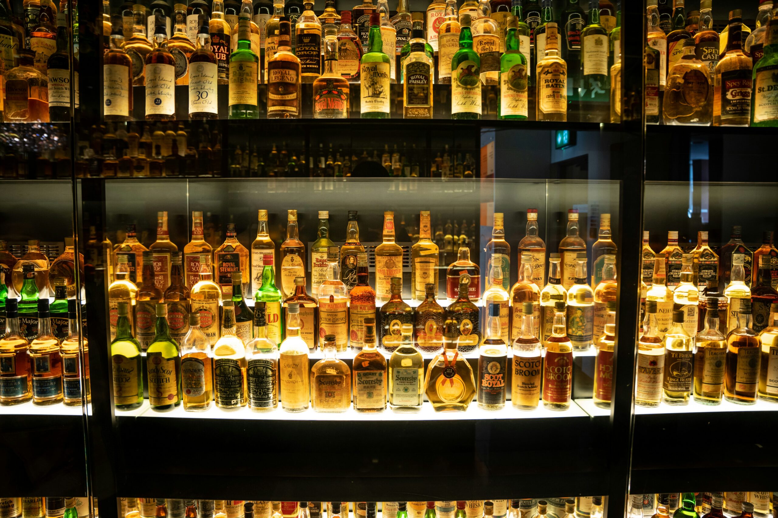 Shelves of Scotch whisky bottles displayed in a distillery tasting room